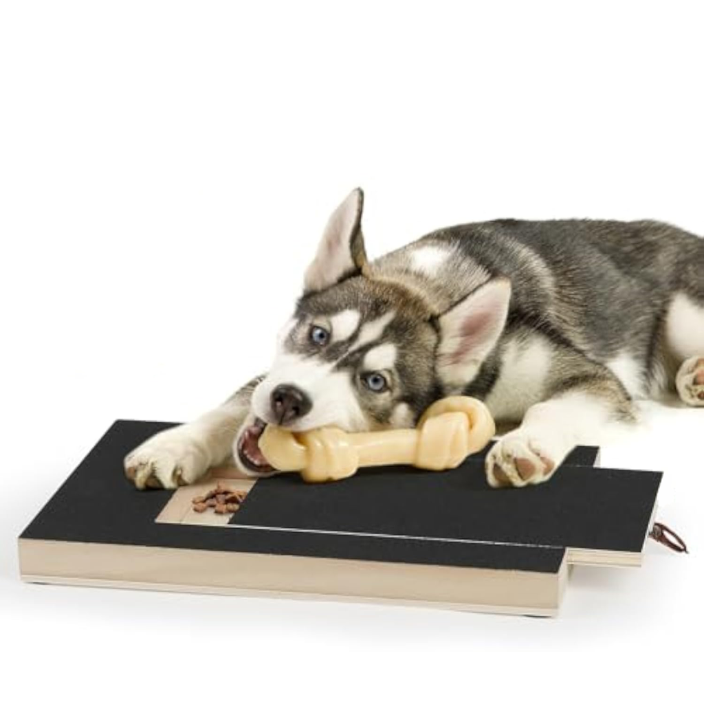 Treat-Reward Dog Nail Scratch Board with built-in treat box