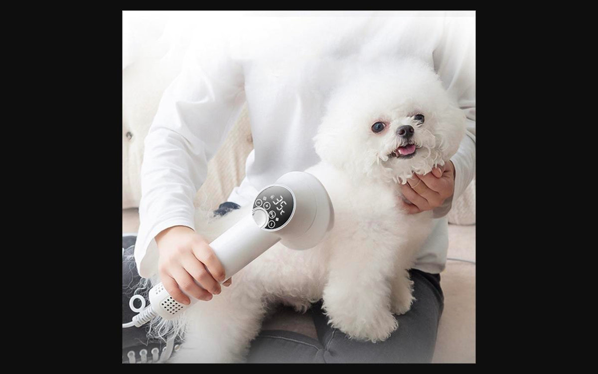 Secador de Pelo Silencioso para Mascotas - Secador Inteligente para Perros y Gatos